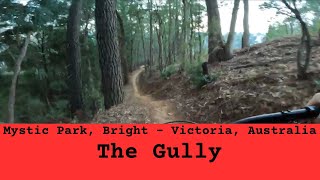 Mystic Park - The Gully