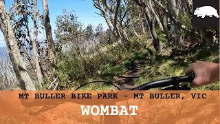 Mount Buller - Wombat