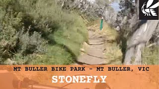 Mount Buller - Stonefly