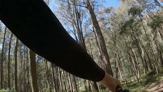 Mount Buller - Delatite River Trail Pt.1 -...
