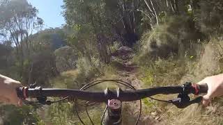 Mount Buller - Snowgums - Copperhead to near...