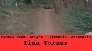 Mystic Park - Tina Turner (Formerly Lower Hero)