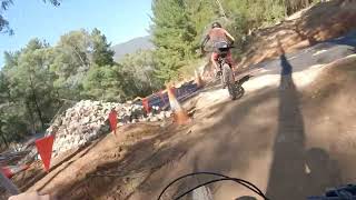 Mystic Park - Lower Shred Kelly