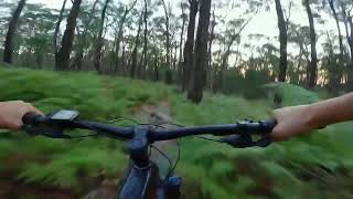 Doongalla Trails