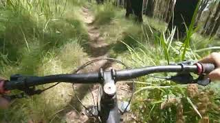 Dishettes Downhill