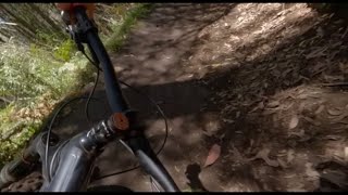 The Descents at Cascades at Lake Mountain