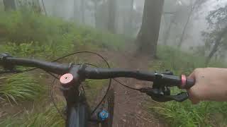 Ch10 Into The Fog
