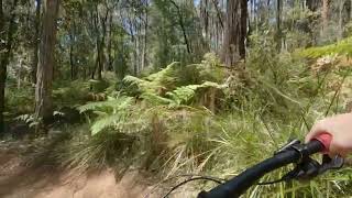 Silvan Mountain Bike Trails