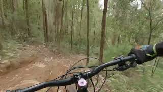 Riley Following Me Down Narby Downhill