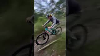 Clips 1