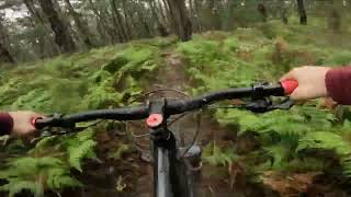 Short Trail at Doongalla