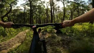 Run of Channel 10 DH Track