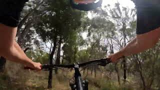 L’s Track Silvan