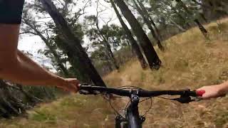Swansea Singletrack Silvan