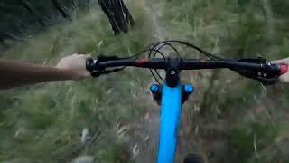 Swansea Singletrack Silvan
