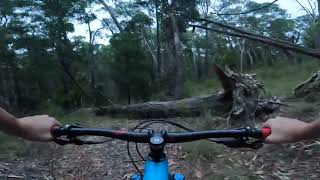 Browns Track DH Silvan