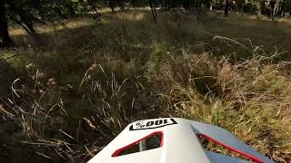 L’s Track Silvan