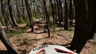 Goanna Somewhere Good