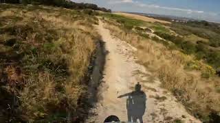 Mad Cows Haunted Hills