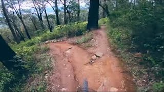 Channel 10 DH Track Silvan