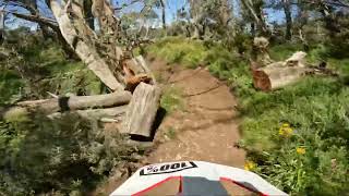 Gang Gangs Mount Buller