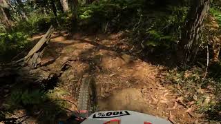 True Grit Silvan
