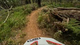 Downhill Track Silvan