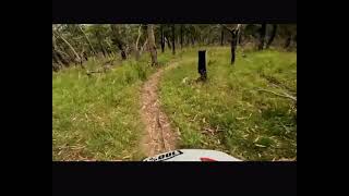 swansea singletrack at silvan (browns rd)