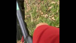 Silvan MTB | Three Billys