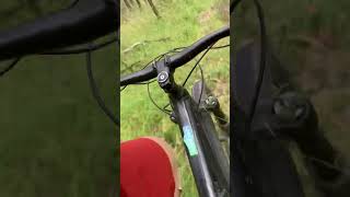 Silvan MTB | L’s Track
