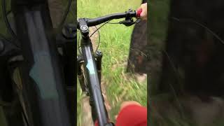 Silvan MTB | Swansea Singletrack