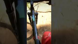 Silvan MTB | Lyre Lyre