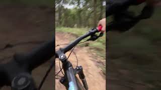 Silvan MTB | Snowblind