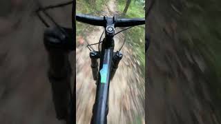 Silvan MTB | Top Gun