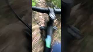 Silvan MTB | To the Valley Below