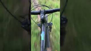 Quick lap down browns road