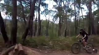 no strava at silvan