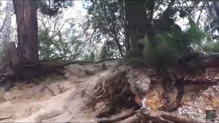 montrose brickworks jumps