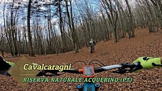 Cavalcaragni, Riserva Naturale Acquerino (PT),...