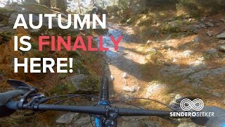 Autumn is finally here and so is the rain!