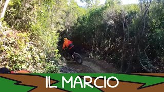 Il Marcio - Livorno 18/10/25