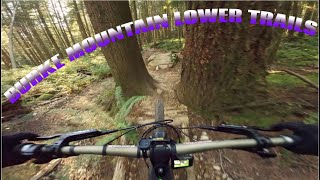 BURKE MOUNTAIN LOWER TRAILS | INTENSE TAZER MX...