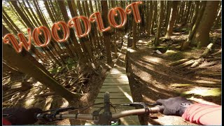 EXPLORING WOODLOT BLUE TRAILS | WOODLOT, MAPLE...