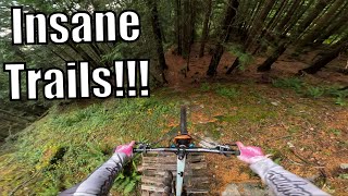 These Are Some Of The Coolest Trails I Have...