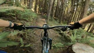 Wilder Trails Newport, Third World