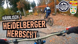 HEIDELBERG WEISSER STEIN Herbst-Tour:...