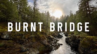Foggy Fall Riding at Burnt Bridge