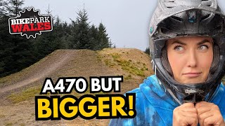 Can I ride ENTER THE DRAGON? One of BIKE PARK...