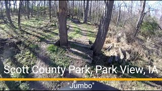 Scott County Park MTB trail - 'Jumbo'