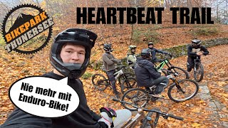 Immer noch der BESTE Downhilltrail im Berner...